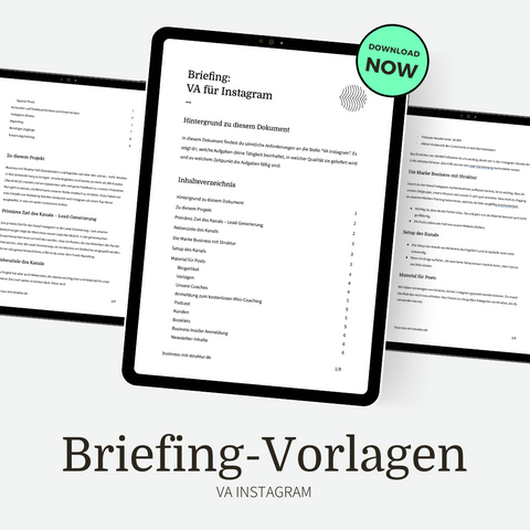 Briefing-Vorlagen – VA für Instagram